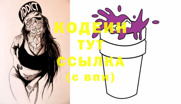 стафф Елизово