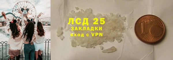 стафф Елизово