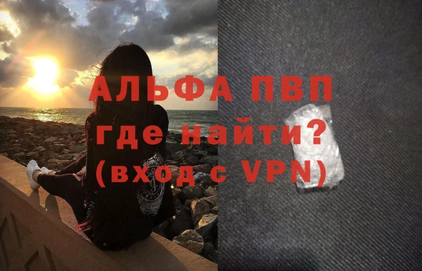 стафф Елизово