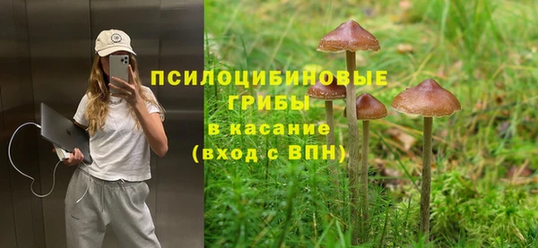 стафф Елизово
