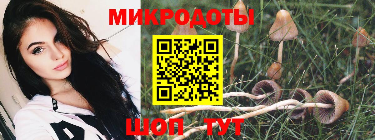 Новороссийск  Псилоцибиновые грибы Magic Shrooms  Псилоцибиновые грибы Psilocybe  Вход с VPN 