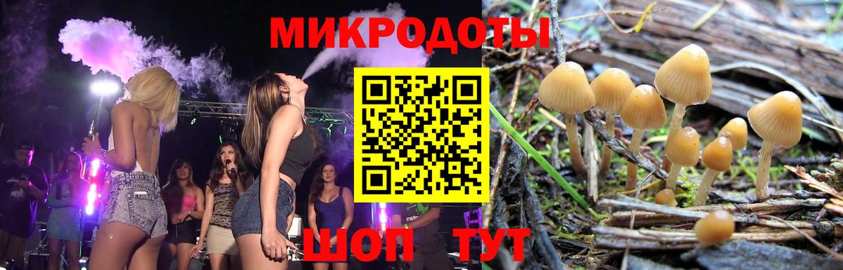 Галлюциногенные грибы Cubensis Новороссийск
