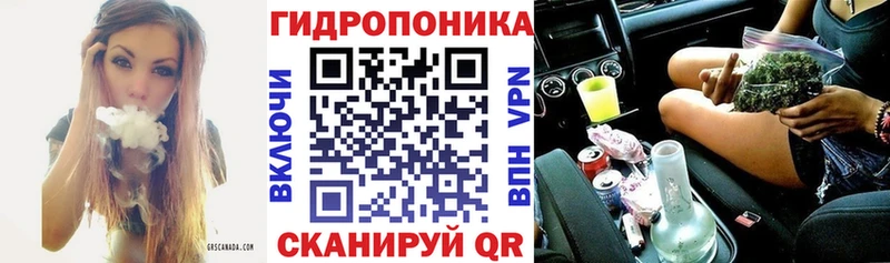 МЕГА сайт  Новороссийск  Канабис White Widow 